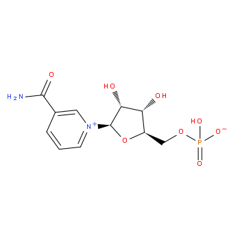 Beta-Nicotinamide Mononucleotide Supplier β-NMN Manufacturer 1094-61-7